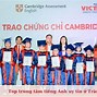 Các Trung Tâm Tiếng Anh Uy Tín Tại Vinh