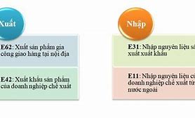 Mã Loại Hình Nhập Khẩu Tiếng Anh Là Gì