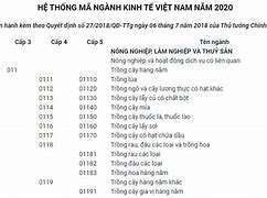 Mã Ngành Nghề Kinh Doanh Y Tế