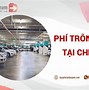 Phương Tiện Giao Thông Trong Tiếng Anh Là Gì