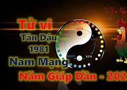 Tử Vi Tuổi Dậu 1981 Nữ Mạng Năm 2024